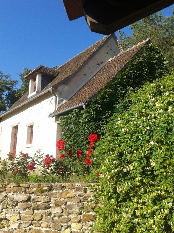 Gite De Serre Le Grand-Pressigny Kültér fotó